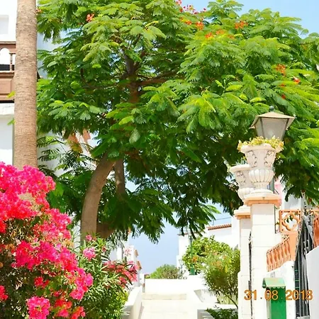 Apartment New Renovated Duplex Near The Ocean Located In Tenerife Sur *
