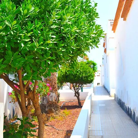 Apartment New Renovated Duplex Near The Ocean Located In Tenerife Sur Costa Del Silencio